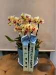 전라남도여수시 꽃배달, 전라남도여수시 꽃집, 전라남도 여수시 여천길 75-3 꽃집, 전남 여수시 여천동 907-4 꽃집, 전라남도 여수시 여천길 75-3... 