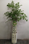 (세교동) 꽃배달 - 사계절꽃농원 플라워119꽃배달서비스 - 생일, 개업, 축하, 근조 꽃배달 전문 카테고리 꽃다발 , 꽃배달, 꽃선물... 