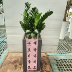 경기도화성시 꽃배달, 경기도화성시 꽃집, 경기도 화성시 봉담읍 삼천병마로 818 꽃집, 한백화훼유통 꽃집, 경기도 화성시 봉담읍 삼천병마로 818... 