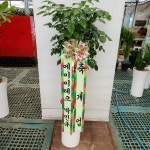 경기도화성시 꽃배달, 경기도화성시 꽃집, 경기도 화성시 봉담읍 삼천병마로 818 꽃집, 한백화훼유통 꽃집, 경기도 화성시 봉담읍 삼천병마로 818... 