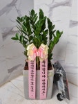 인천광역시남동구 꽃배달, 인천광역시남동구 꽃집, 인천광역시 남동구 매소홀로 816 꽃집, (구월동) 꽃집, 인천광역시 남동구 매소홀로 816... 
