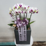 경기도화성시 꽃배달, 경기도화성시 꽃집, 경기도 화성시 봉담읍 삼천병마로 818 꽃집, 한백화훼유통 꽃집, 경기도 화성시 봉담읍 삼천병마로 818... 