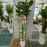 경기도화성시 꽃배달, 경기도화성시 꽃집, 경기도 화성시 봉담읍 삼천병마로 818 꽃집, 한백화훼유통 꽃집, 경기도 화성시 봉담읍 삼천병마로 818... 