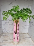 인천광역시남동구 꽃배달, 인천광역시남동구 꽃집, 인천광역시 남동구 매소홀로 816 꽃집, (구월동) 꽃집, 인천광역시 남동구 매소홀로 816... 