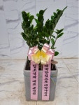 인천광역시남동구 꽃배달, 인천광역시남동구 꽃집, 인천광역시 남동구 매소홀로 816 꽃집, (구월동) 꽃집, 인천광역시 남동구 매소홀로 816... 