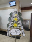 드림농원(영등동) 꽃집, 전북특별자치도 익산시 고봉로18길 86 꽃배달, 백세인생 드림농원(영등동) 꽃배달 - 백세인생 드림농원... 