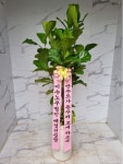 인천광역시남동구 꽃배달, 인천광역시남동구 꽃집, 인천광역시 남동구 매소홀로 816 꽃집, (구월동) 꽃집, 인천광역시 남동구 매소홀로 816... 
