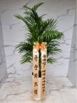 인천광역시남동구 꽃배달, 인천광역시남동구 꽃집, 인천광역시 남동구 매소홀로 816 꽃집, (구월동) 꽃집, 인천광역시 남동구 매소홀로 816... 
