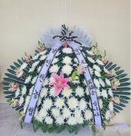 경상남도창원시 마산회원구 꽃배달, 경상남도창원시 마산회원구 꽃집, 경상남도 창원시 마산회원구 북성로 286 꽃집, (회성동) 꽃집, 경상남도... 