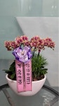 경기도화성시 꽃배달, 경기도화성시 꽃집, 경기도 화성시 향남읍 삼천병마로 148 꽃집, 148 꽃집, 경기도 화성시 향남읍 삼천병마로 148 꽃배달... 