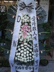 대구광역시북구 꽃배달, 대구광역시북구 꽃집, 대구광역시 북구 칠성남로 165 꽃집, 소이플라워(칠성동2가) 꽃집, 대구광역시 북구 칠성남로 165... 