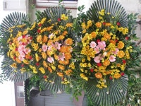 경기도포천시 꽃배달, 경기도포천시 꽃집, 경기도 포천시 영중면 양문로 100 꽃집, 꽃집, 경기도 포천시 영중면 양문로 100 꽃배달, 꽃배달 - 포천... 