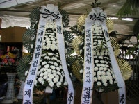 광주광역시광산구 꽃배달, 광주광역시광산구 꽃집, 광주 광산구 신가동 꽃집, 233-3번지 007플라워 꽃집, 광주 광산구 신가동 꽃배달, 233-3번지... 