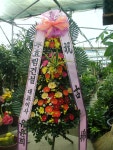 광주광역시광산구 꽃배달, 광주광역시광산구 꽃집, 광주 광산구 신가동 꽃집, 233-3번지 007플라워 꽃집, 광주 광산구 신가동 꽃배달, 233-3번지... 
