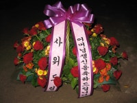 안중읍 안현로서9길 155 꽃집, 안중읍 안중리 299-8 꽃집, 경기도 평택시 안중읍 안현로서9길 155 꽃배달, 안중읍 안중리 299-8 꽃배달 - 식물나라... 