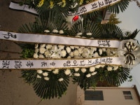경기도양평군 꽃배달, 경기도양평군 꽃집, 경기도 양평군 양평읍 중앙로 157 꽃집, 꽃집, 경기도 양평군 양평읍 중앙로 157 꽃배달, 꽃배달... 