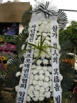 광주광역시광산구 꽃배달, 광주광역시광산구 꽃집, 광주 광산구 신가동 꽃집, 233-3번지 007플라워 꽃집, 광주 광산구 신가동 꽃배달, 233-3번지... 