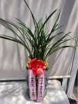 전라남도여수시 꽃배달, 전라남도여수시 꽃집, 전라남도 여수시 여천길 75-3 꽃집, 전남 여수시 여천동 907-4 꽃집, 전라남도 여수시 여천길 75-3... 