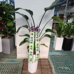 경기도화성시 꽃배달, 경기도화성시 꽃집, 경기도 화성시 봉담읍 삼천병마로 818 꽃집, 한백화훼유통 꽃집, 경기도 화성시 봉담읍 삼천병마로 818... 