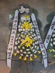 경기도화성시 꽃배달, 경기도화성시 꽃집, 경기도 화성시 팔탄면 푸른들판로 504 꽃집, 경기도 화성시 팔탄면 푸른들판로 431-24 꽃집, 경기도... 