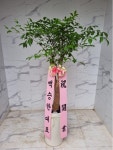 인천광역시남동구 꽃배달, 인천광역시남동구 꽃집, 인천광역시 남동구 매소홀로 816 꽃집, (구월동) 꽃집, 인천광역시 남동구 매소홀로 816... 
