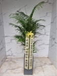 인천광역시남동구 꽃배달, 인천광역시남동구 꽃집, 인천광역시 남동구 매소홀로 816 꽃집, (구월동) 꽃집, 인천광역시 남동구 매소홀로 816... 