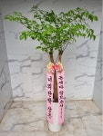 인천광역시남동구 꽃배달, 인천광역시남동구 꽃집, 인천광역시 남동구 매소홀로 816 꽃집, (구월동) 꽃집, 인천광역시 남동구 매소홀로 816... 