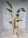 인천광역시남동구 꽃배달, 인천광역시남동구 꽃집, 인천광역시 남동구 매소홀로 816 꽃집, (구월동) 꽃집, 인천광역시 남동구 매소홀로 816... 