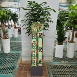 경기도화성시 꽃배달, 경기도화성시 꽃집, 경기도 화성시 봉담읍 삼천병마로 818 꽃집, 한백화훼유통 꽃집, 경기도 화성시 봉담읍 삼천병마로 818... 