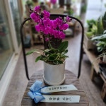 경기도구리시 꽃배달, 경기도구리시 꽃집, 경기도 구리시 아차산로 471 꽃집, 동진빌딩 102호(교문동) 꽃집, 경기도 구리시 아차산로 471 꽃배달... 