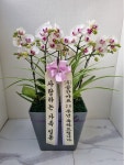 인천광역시남동구 꽃배달, 인천광역시남동구 꽃집, 인천광역시 남동구 매소홀로 816 꽃집, (구월동) 꽃집, 인천광역시 남동구 매소홀로 816... 