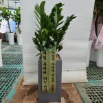 경기도화성시 꽃배달, 경기도화성시 꽃집, 경기도 화성시 봉담읍 삼천병마로 818 꽃집, 한백화훼유통 꽃집, 경기도 화성시 봉담읍 삼천병마로 818... 