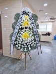충청북도제천시 꽃배달, 충청북도제천시 꽃집, 충청북도 제천시 내토로40나길 19-1 꽃집, 제천시 화산동907번지 꽃집, 충청북도 제천시... 