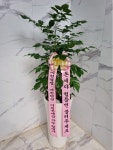 인천광역시남동구 꽃배달, 인천광역시남동구 꽃집, 인천광역시 남동구 매소홀로 816 꽃집, (구월동) 꽃집, 인천광역시 남동구 매소홀로 816... 