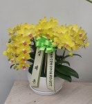 경기도화성시 꽃배달, 경기도화성시 꽃집, 경기도 화성시 봉담읍 삼천병마로 1213 꽃집, 난사랑꽃농원 꽃집, 경기도 화성시 봉담읍 삼천병마로... 