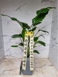 인천광역시남동구 꽃배달, 인천광역시남동구 꽃집, 인천광역시 남동구 매소홀로 816 꽃집, (구월동) 꽃집, 인천광역시 남동구 매소홀로 816... 