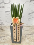 인천광역시남동구 꽃배달, 인천광역시남동구 꽃집, 인천광역시 남동구 매소홀로 816 꽃집, (구월동) 꽃집, 인천광역시 남동구 매소홀로 816... 