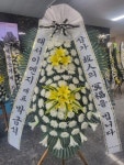 경상남도고성군 꽃배달, 경상남도고성군 꽃집, 경상남도 고성군 고성읍 성내로 123-9 꽃집, 꽃이야기 꽃집, 경상남도 고성군 고성읍 성내로 123-9... 