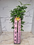 인천광역시남동구 꽃배달, 인천광역시남동구 꽃집, 인천광역시 남동구 매소홀로 816 꽃집, (구월동) 꽃집, 인천광역시 남동구 매소홀로 816... 