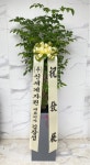 인천광역시남동구 꽃배달, 인천광역시남동구 꽃집, 인천광역시 남동구 매소홀로 816 꽃집, (구월동) 꽃집, 인천광역시 남동구 매소홀로 816... 