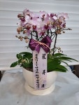 경기도양주시 꽃배달, 경기도양주시 꽃집, 경기도 양주시 광적면 가래비길 68 꽃집, 생활꽃공간 꽃집, 경기도 양주시 광적면 가래비길 68 꽃배달... 