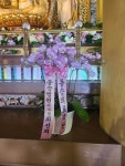 제주특별자치도서귀포시 꽃배달, 제주특별자치도서귀포시 꽃집, 제주특별자치도 서귀포시 동홍중앙로52번길 41 꽃집, 하성빌1층(동홍동) 꽃집... 