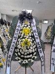 전라북도진안군 꽃배달, 전라북도진안군 꽃집, 전라북도 진안군 진안읍 학천변길 93 꽃집, 마이산꽃농원 꽃집, 전라북도 진안군 진안읍 학천변길... 