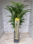 인천광역시남동구 꽃배달, 인천광역시남동구 꽃집, 인천광역시 남동구 매소홀로 816 꽃집, (구월동) 꽃집, 인천광역시 남동구 매소홀로 816... 