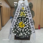 경상북도김천시 꽃배달, 경상북도김천시 꽃집, 경상북도 김천시 양금로 249-1 꽃집, (황금동) 꽃집, 경상북도 김천시 양금로 249-1 꽃배달... 