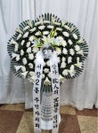 경상북도청도군 꽃배달, 경상북도청도군 꽃집, 경상북도 청도군 화양읍 도주관로 114 꽃집, 백산플라워 꽃집, 경상북도 청도군 화양읍 도주관로...