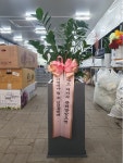 인천광역시계양구 꽃배달, 인천광역시계양구 꽃집, 인천광역시 계양구 서운산단로1길 19 꽃집, (서운동) 109호 110호 꽃집, 인천광역시 계양구... 