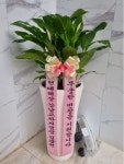인천광역시남동구 꽃배달, 인천광역시남동구 꽃집, 인천광역시 남동구 매소홀로 816 꽃집, (구월동) 꽃집, 인천광역시 남동구 매소홀로 816... 