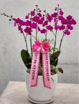 경기도화성시 꽃배달, 경기도화성시 꽃집, 경기도 화성시 봉담읍 삼천병마로 1213 꽃집, 난사랑꽃농원 꽃집, 경기도 화성시 봉담읍 삼천병마로... 