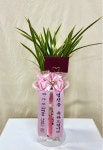 경상남도진주시 꽃배달, 경상남도진주시 꽃집, 경상남도 진주시 동진로 181 꽃집, 진주시 동진로 183(상대동) 꽃집, 경상남도 진주시 동진로 181... 